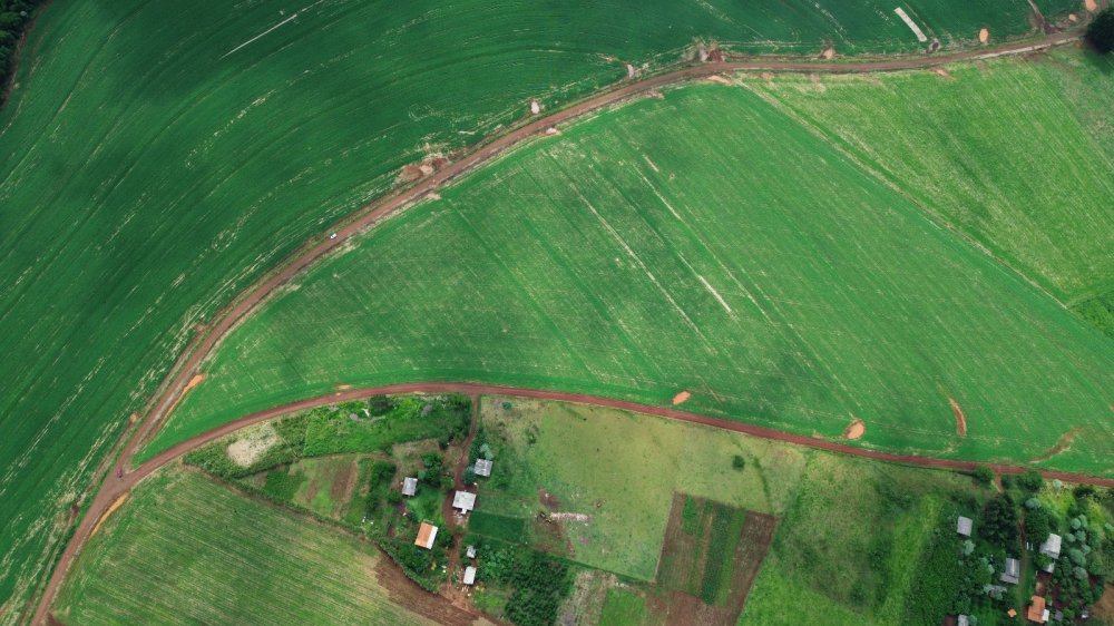 rea - Venda - Fazenda So Domingos - Cascavel - PR