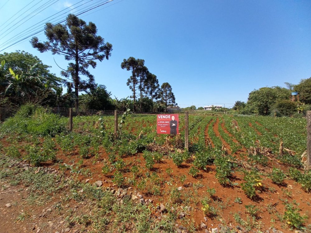 Terreno - Venda - Lago Azul - Cascavel - PR